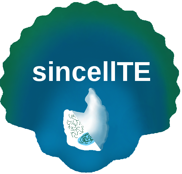 logo_sincellte.png