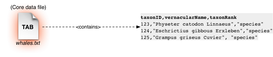 A core data file is a simple, tabular, text file